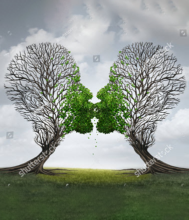 Tree Love